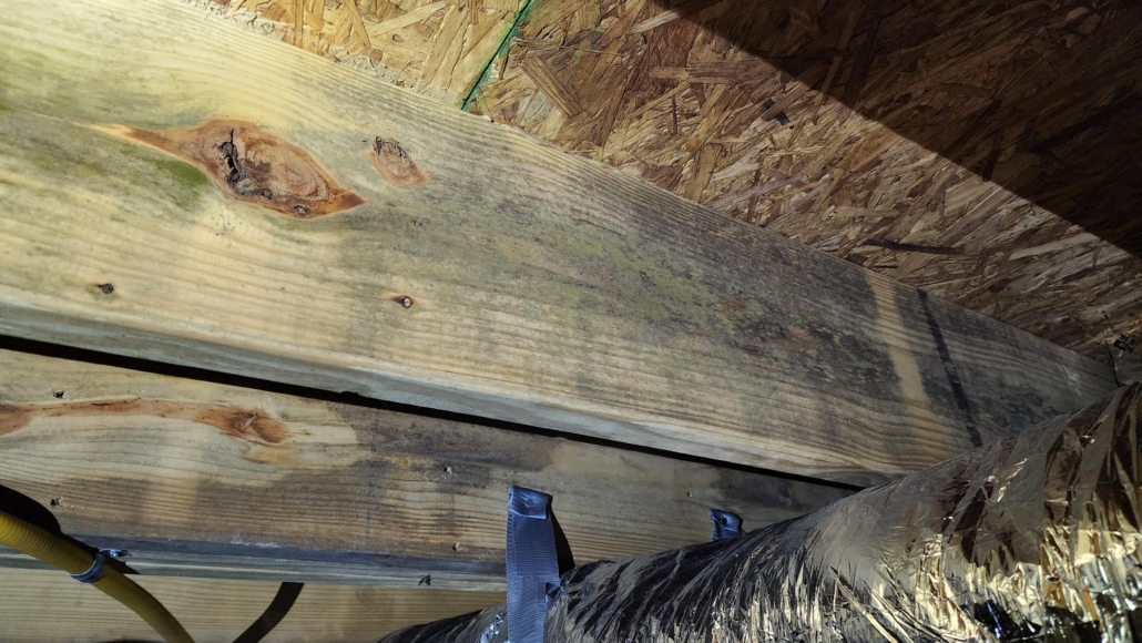 11 month old home with a moldy crawlspace 11 month old home with a moldy crawlspace