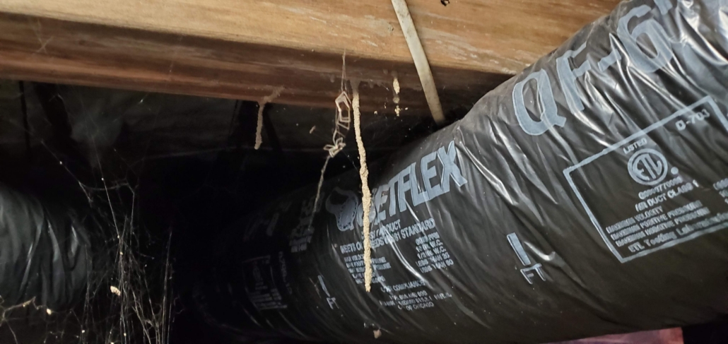 Termite shelter tube hanging from wood floor framing
