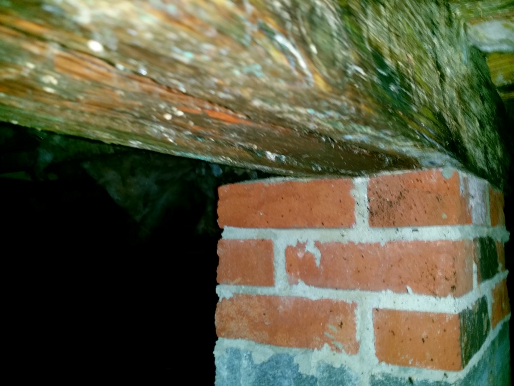 Heavy mold deterioration on a brick foundation wall