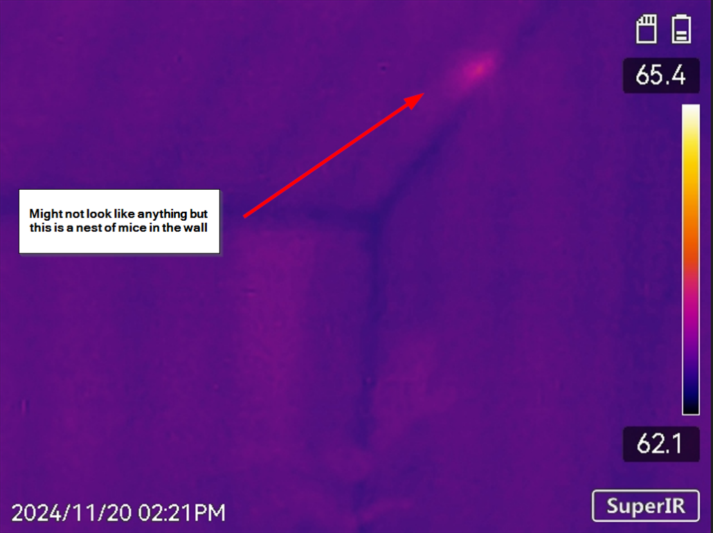 Mice in wall.jpeg Thermal imaging scan showing a nest of mice hiding inside a wall cavity