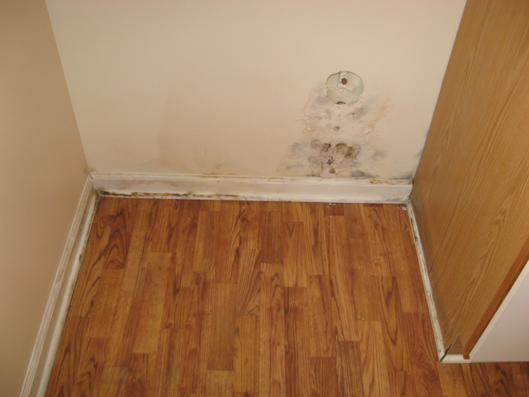 Mold and staining on a wall where a refrigerator was removed