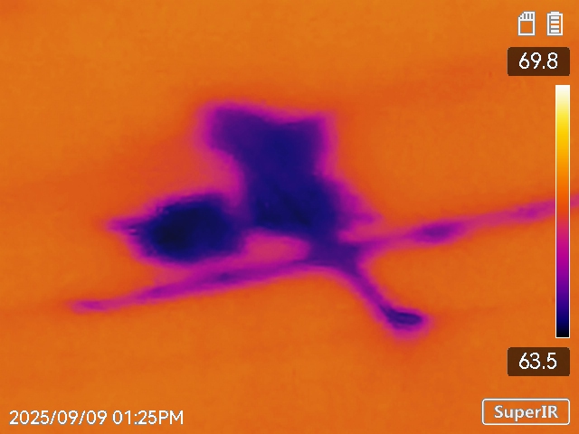 TIGIR20250909132512 Thermal imaging scan showing a hidden water leak behind a ceiling