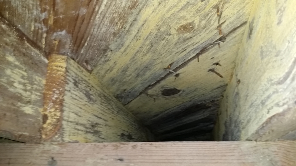 Yellow mold growth on wood framing and pipe insulation in a crawlspace
